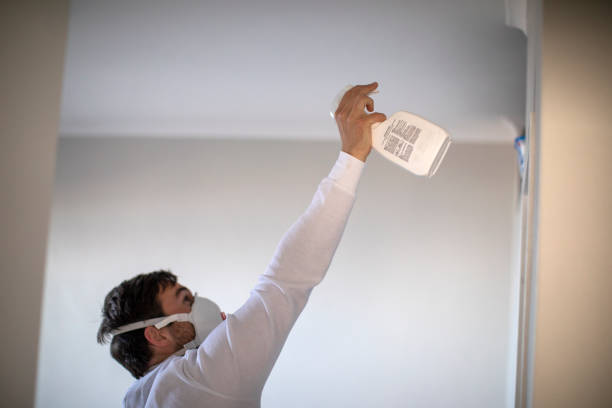 Best Mold Remediation for Schools in Groesbeck, TX