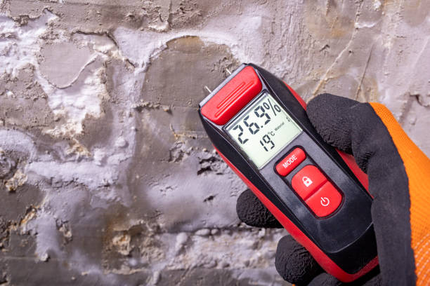 Best Basement Mold Remediation in Groesbeck, TX