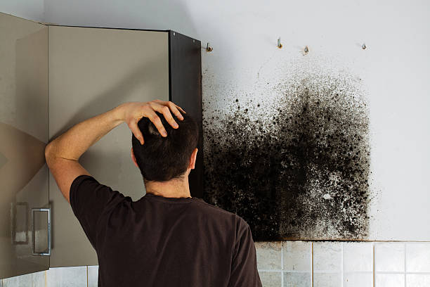 Groesbeck, TX Mold Remediation Company